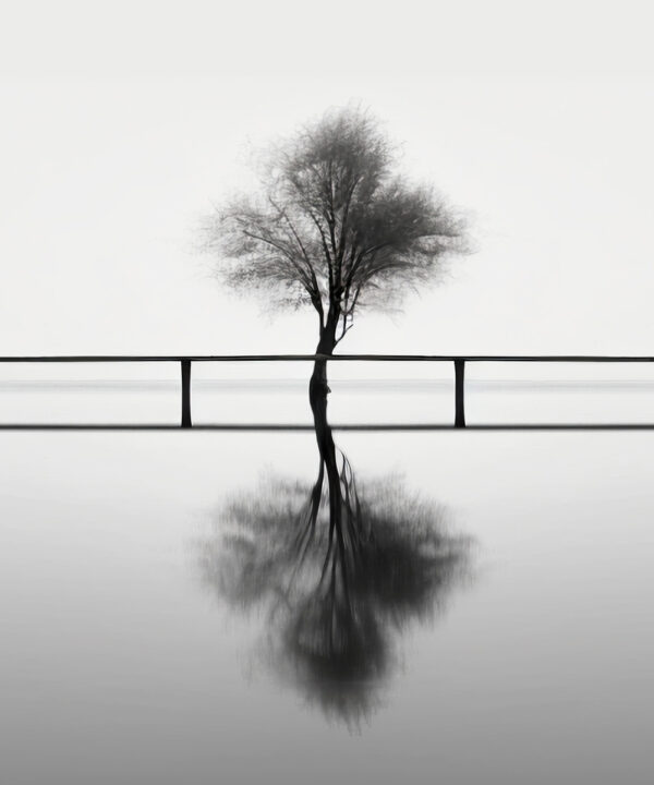 Constelações Sistêmicas Familiares e Empresariais