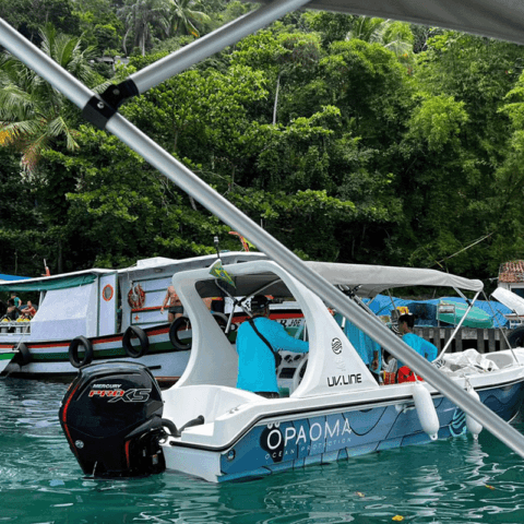 Quebrando o Conceito de Sustentabilidade