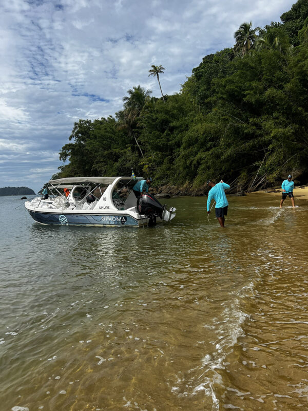 Sustentabilidade genuína: superando o greenwashing com ações locais